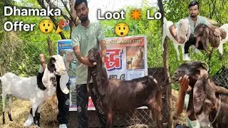 Haydrabadi Ka Dhamaka Offer|| Chance He Loot Lo 🎉😲||
