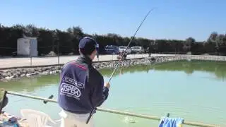 COLMIC TROTA LAGO --LAGHI ALBATROS
