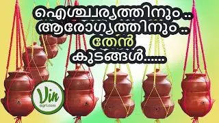 STING LESS HONEY BEE COLONY (ചെറു തേനീച്ച   തേൻ കുടം )