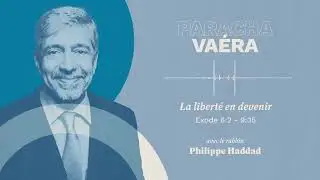 Paracha Vaéra : La liberté en devenir