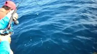 Fishing JimyJigs Vertical Jigging.