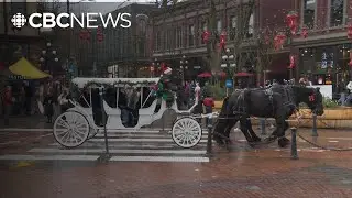 Free horse-drawn carriage rides return to Vancouver's Gastown