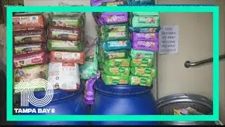 Free pet food program at Humane Society of Tampa Bay