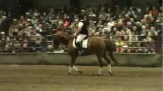 Equine Expo 2013 Parade of Breeds Canadian Warmblood Demonstration
