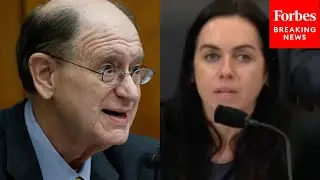 Brad Sherman To Witness: 'Does The Shuttering Of USAID Cause A Problem?'