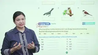 Ch 3 | Good Grade Books  | English | Class 1 | Mr. Elephanter  | For Children