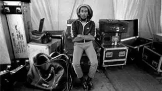 B.Marley & The Wailers   Punky Reggae Party