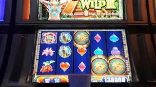 Throwback Thursday 2014 WMS Grinding points Jungle Wild 3 Beer Baus