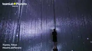 teamLab Planets, a body immersive museum in Toyosu, Tokyo
