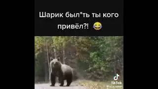 ❗FAKE SITUATION ❗