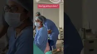 Live procedure of egg retrieval for IVF by Dr. Chandana Lakkireddi and other Team of Doctors at Esha
