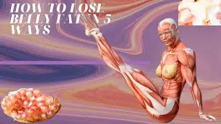 How To Lose Belly Fat In 5 Ways