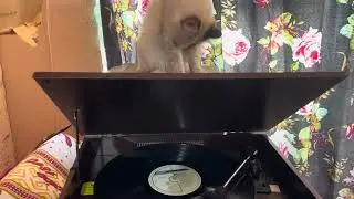Michuda arriba del tocadiscos 