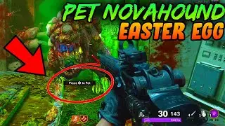 HOW TO PET THE NOVAHOUND IN DIE MASCHINE (NEW COLD WAR ZOMBIES EASTER EGG)