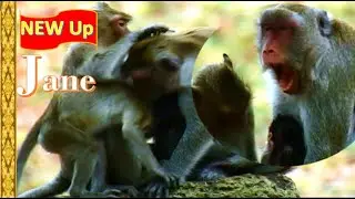 Oh don't Hurt me mom ! Jane bitten Janna no mercy event Janna is keep beg fresh milk