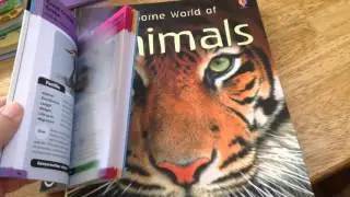 Usborne Books for Elementary Aged Kids