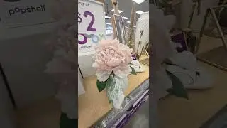 Window shopping
