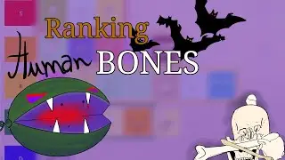 Poorpl Ranks Human Bones