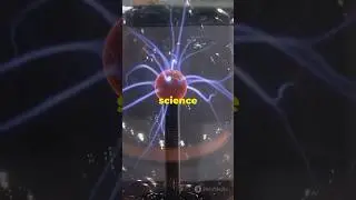 Top 5 Curious Experiments That Will Amaze You #facts #shorts