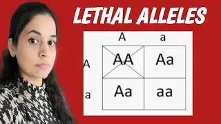 Lethal Alleles