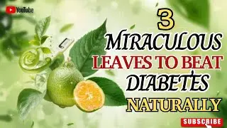 3 Miraculous Leaves to Naturally Beat Diabetes | Health Morph #healthy