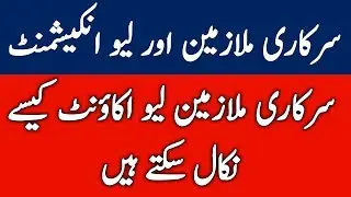 Leave Account and Leave Encashment for Govt Employees l Leave Encashment and Leave Account l