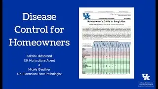 Disease Control for Homeowners
