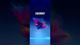 Elektrofuzz - Chillout Version