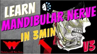 Mandibular Nerve And Its Branches In 3 Min | Easiest Mnemonic to remember| MUST WATCH!!!