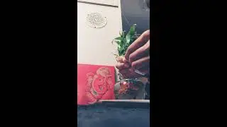 playing card flower pot🤗