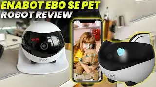 Обзор робота-питомца Enabot Ebo SE 2024: крошечный робот, большое развлечение для домашних животных
