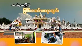 တောထဲမှာတည်ရှိတဲ့ မြစိမ်းတောင်တောရကျောင်း နှင့် အေးချမ်းတဲ့ အဘိုးကျောင်း