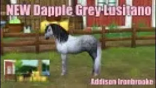 NEW Dapple Grey Lusitano || Star Stable