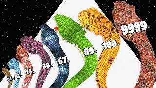 Snake Evolution: Growing to Max Level!
