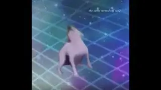 DANCE TILL YOUR DEAD 1 HOUR LOOP