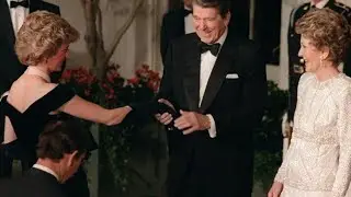 Lady Dianas ber&uuml;hmtes Samtkleid wird versteigert
