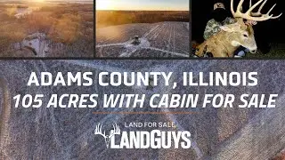 Secluded hardwood acreage with a cabin, strong wildlife, and practical access in Adams County, IL!