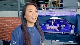 Georgia Tech Capstone Design Expo: Spring 2022