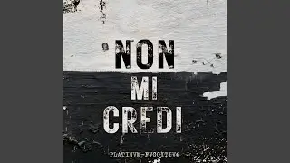 NON MI CREDI (feat. FVGGITIVO)