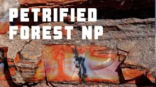 PETRIFIED FOREST NATIONAL PARK