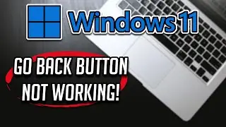 Go Back Button Not Working in Windows 11 FIX