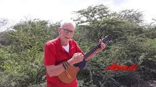 Kees Simons - Atardi