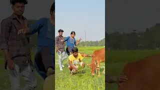Desi Hu Garib Nhi 😡 || Suvo Stunts || #shorts #thar