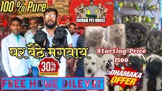 100%Pure | Dog Birds Shop In Muzaffarpur || Shivam Pet House | All Puppy Bird Available | @RajuSoni
