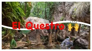 GIBB RIVER RD | EL QUESTRO | ZEBEDEE SPRINGS | Kimberly's Western Australia