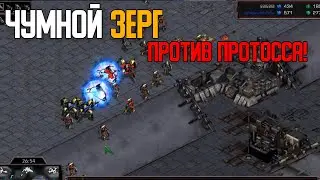 Старкрафт P VS Z Чума против протосса!