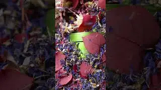 Palais des Th&eacute;s - Discover Hammam Tea