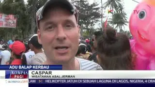 Makepung, Tradisi Adu Balap Kerbau di Bali