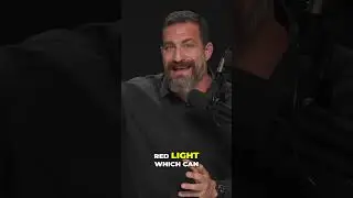 Why Red Light is Good for Skin  The Science Behind Phototherapy
