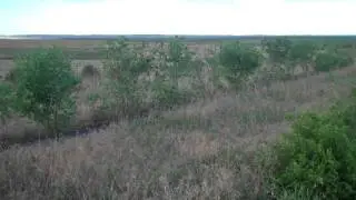 Rapid City, SD - Real Estate - 240 Magnificent Acres